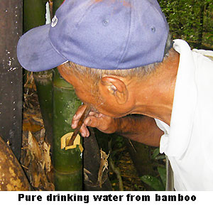 man drinking water from bamboo stalk